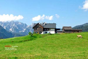 形容男性优秀的古词(40个)(古代形容男人优秀的成语)